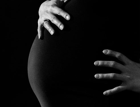 The Miracle of Life: A Journey Through Fetal Development 34 The Miracle of Life: A Journey Through Fetal Development
