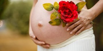 The Journey of Motherhood: Your Pregnancy Week by Week Guide 5 pregnant woman 1910301 960 720 The Journey of Motherhood: Your Pregnancy Week by Week Guide