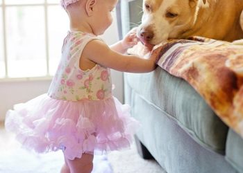 The Journey Within: Nurturing Emotional Growth and Resilience